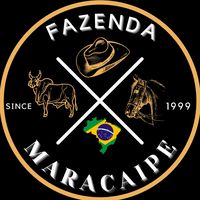 fazmaracaipe