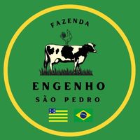 agropecuariaengsaopedro1