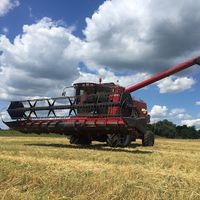 agro_yagotin7