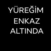 orijinal ses