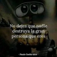 wilianlluco677