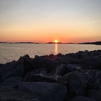 eelliiinnnaa