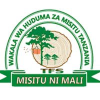 meru_forest_tfs