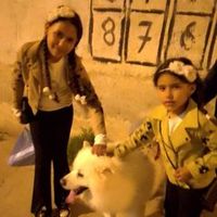 miral.miral304
