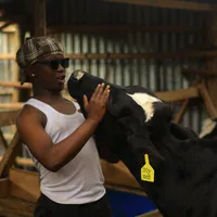 original sound - keei__ziggy