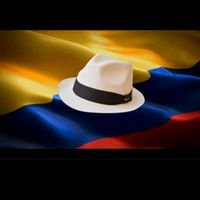 troya703