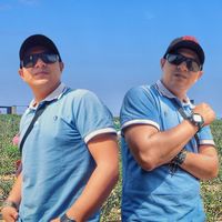 sonido original