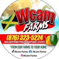wcamfarms
