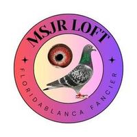 msjr.loft