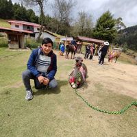 marti_mosqueirac