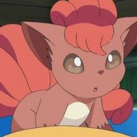 vulpix561