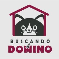 buscandoadomino