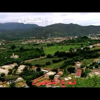 original sound - hassanmld4