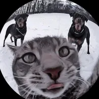 hey jude by the beatles