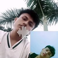 yordyjm