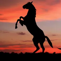 original sound - caballista_oficial1