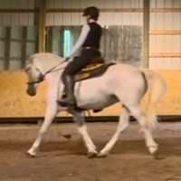 saddlefitternearme