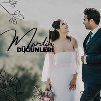mardindugunleri