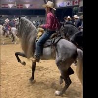 yahirtorres6781
