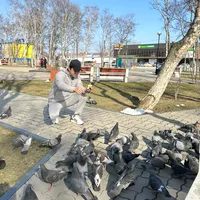 original sound - captainhieu1989