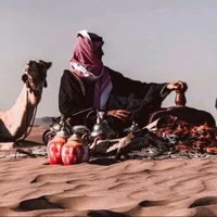 الصوت الأصلي
