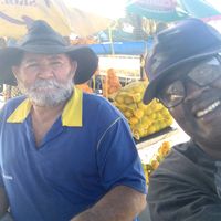 terraverdecomediaofical