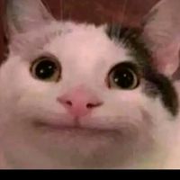 iyliqnseksa69