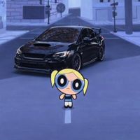 wr_hex.sti
