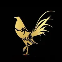 original sound - armandolb828