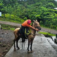 elchepejr125