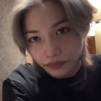 amoofelixdostraykids
