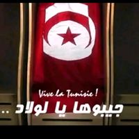 s.a_m.ii