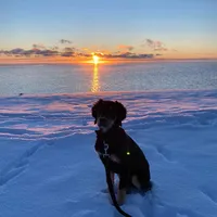 original sound - aapascc