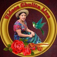videos.chulita