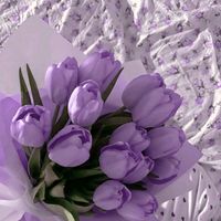__kimayeza__