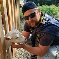 оригинальный звук