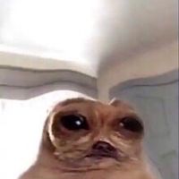 Hey Lil Mama Eladio Carrión Rauw Alejandro