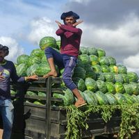 marcelinhodamelancia