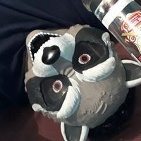 mapache104.5