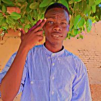 الصوت الأصلي