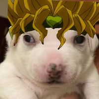 brranndo