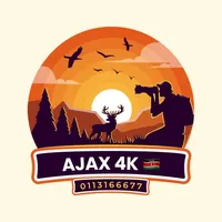 original sound - coach.ajax