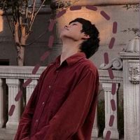 jessezveh8c