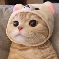 original sound - lovekittycat_