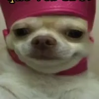 original sound - don_chorizo12