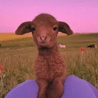 original sound - .anacrista