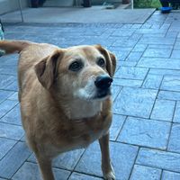 pinkunicornsparkle1256