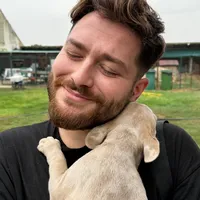 original sound - dimitrijevokic