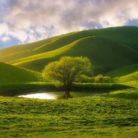 original sound - Nature Lovers