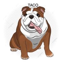 bulldog_taco